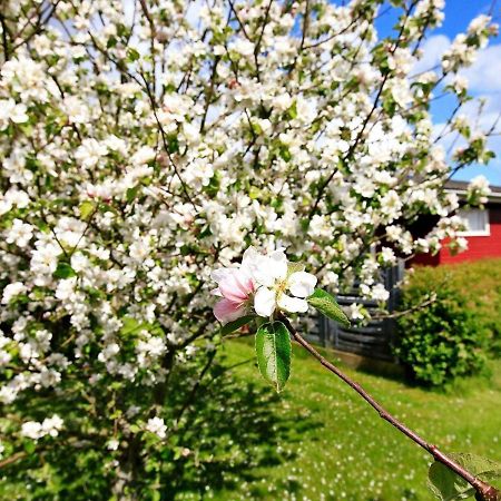 4 Person Holiday Home In Otterup Torreso Exteriör bild